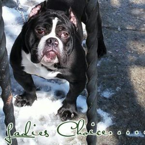 Meet your Posher, Willie